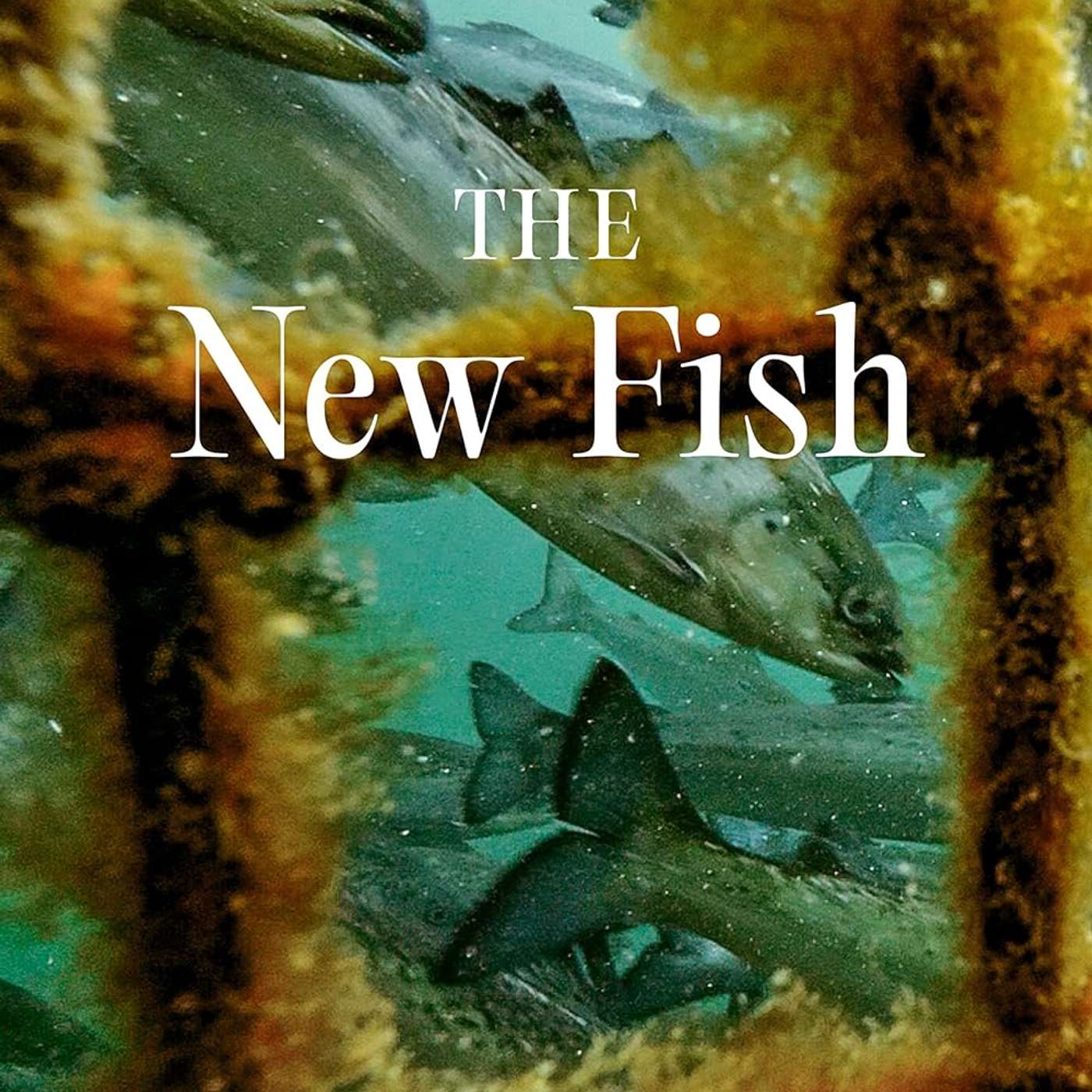 The chemicals weren’t working, the fish were suffering and new ideas were needed