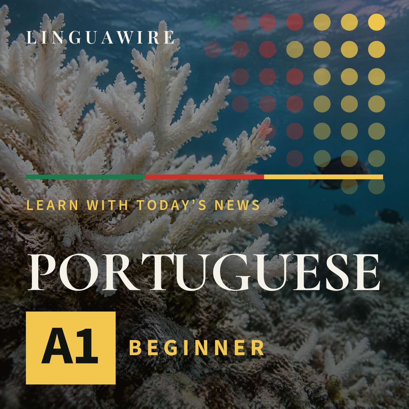 A1 European Portuguese News | Coral Reefs Face a Major Threat by 2075