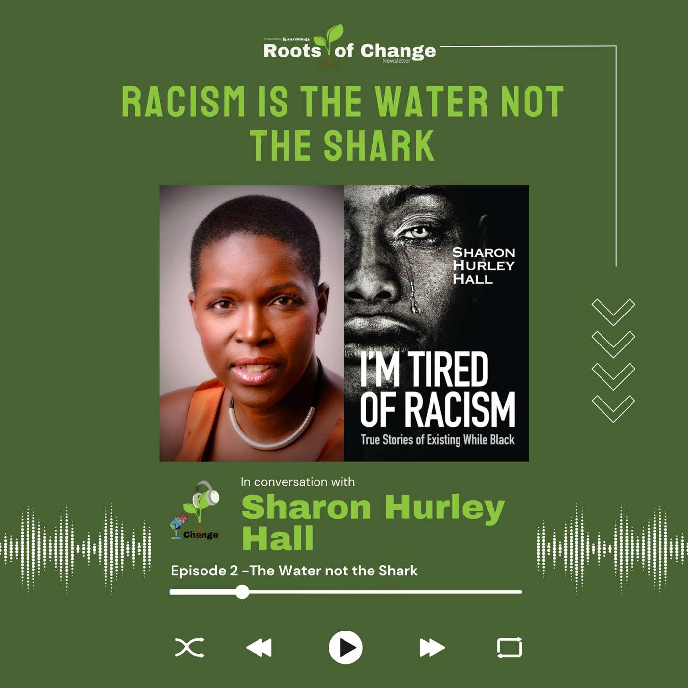 Racism is the Water not the Shark episode artwork