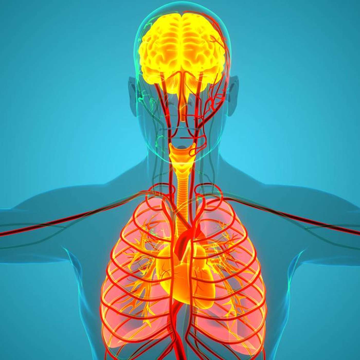 Microplastics Detected in Human Brain, Greenland Ice Sheet Threatens Sea Levels, Bonobos Recognize Human Ignorance, Chinese Scientists Create Bi-Paternal Mice, and more...