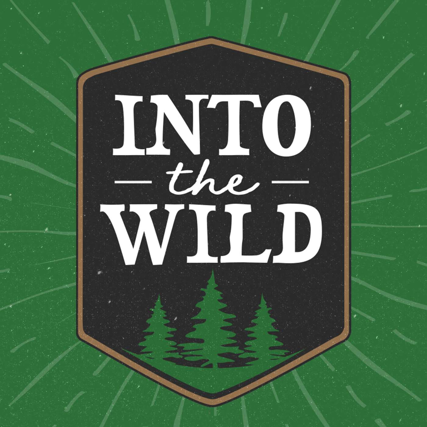 Acts 15 - Keep it Simple - Part 5 of Into the Wild episode artwork