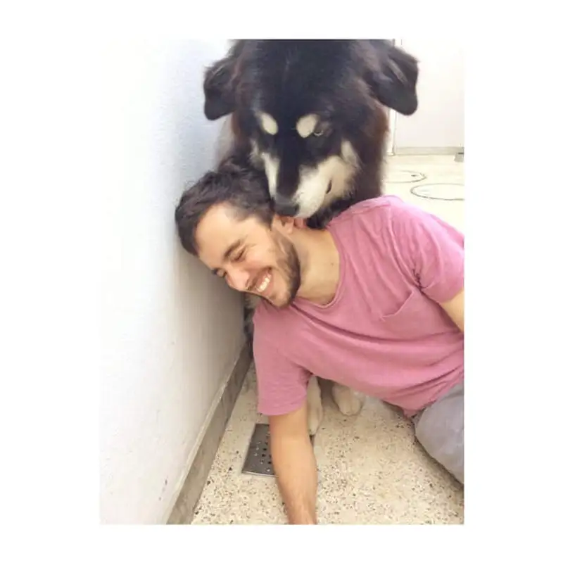 Homophones: o que são, para o que servem e como vão melhorar o seu inglês