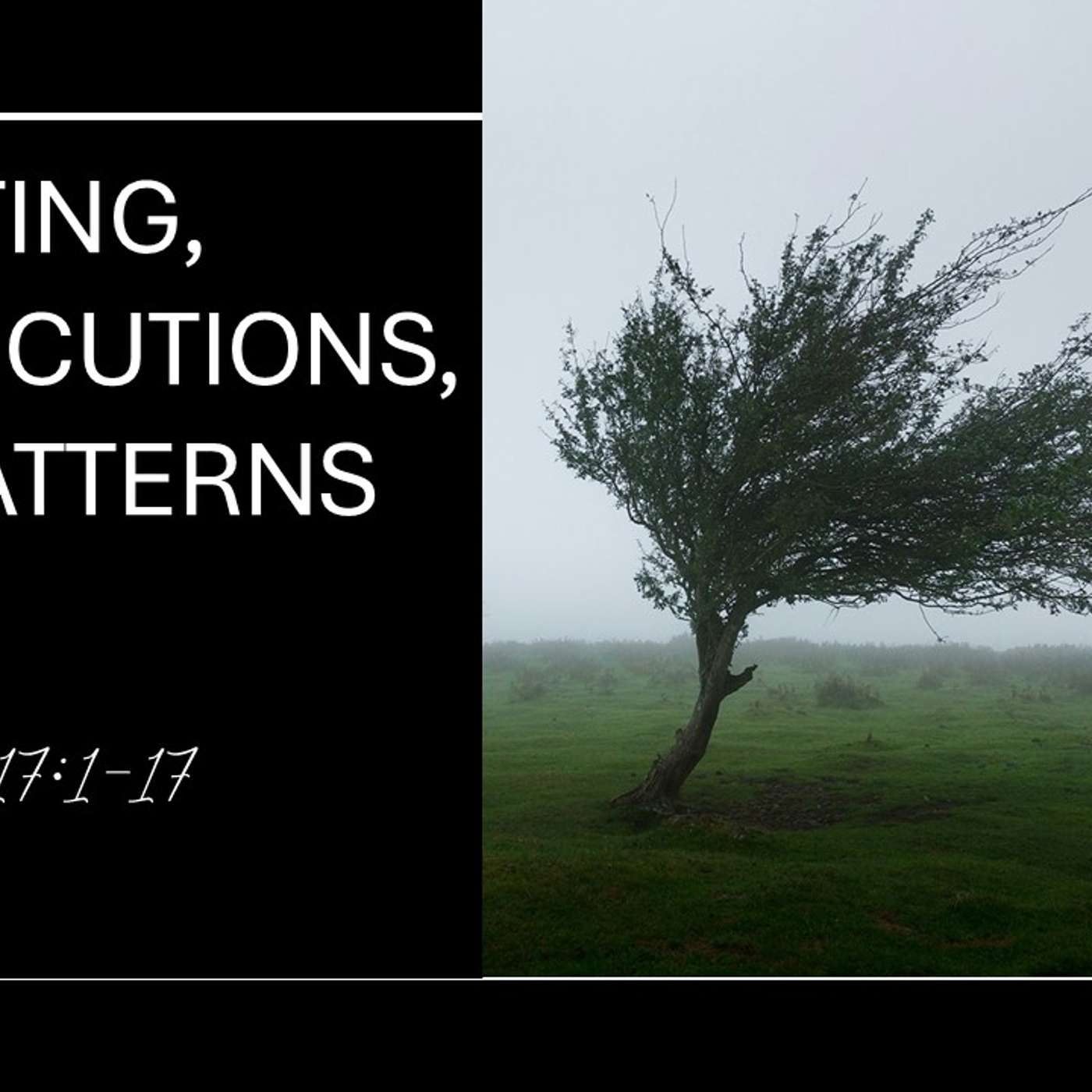 Planting, Persecutions, and Patterns | 02/02/2025 Morning Service