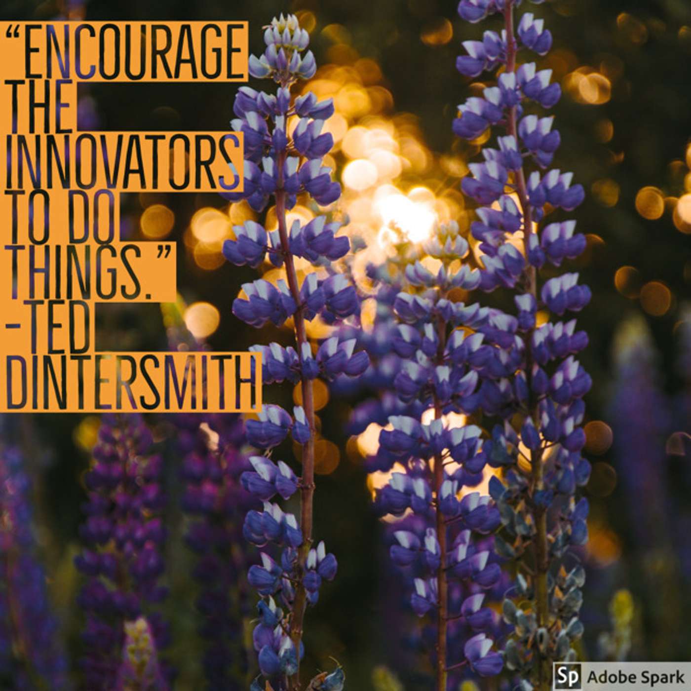 Transformative Principal