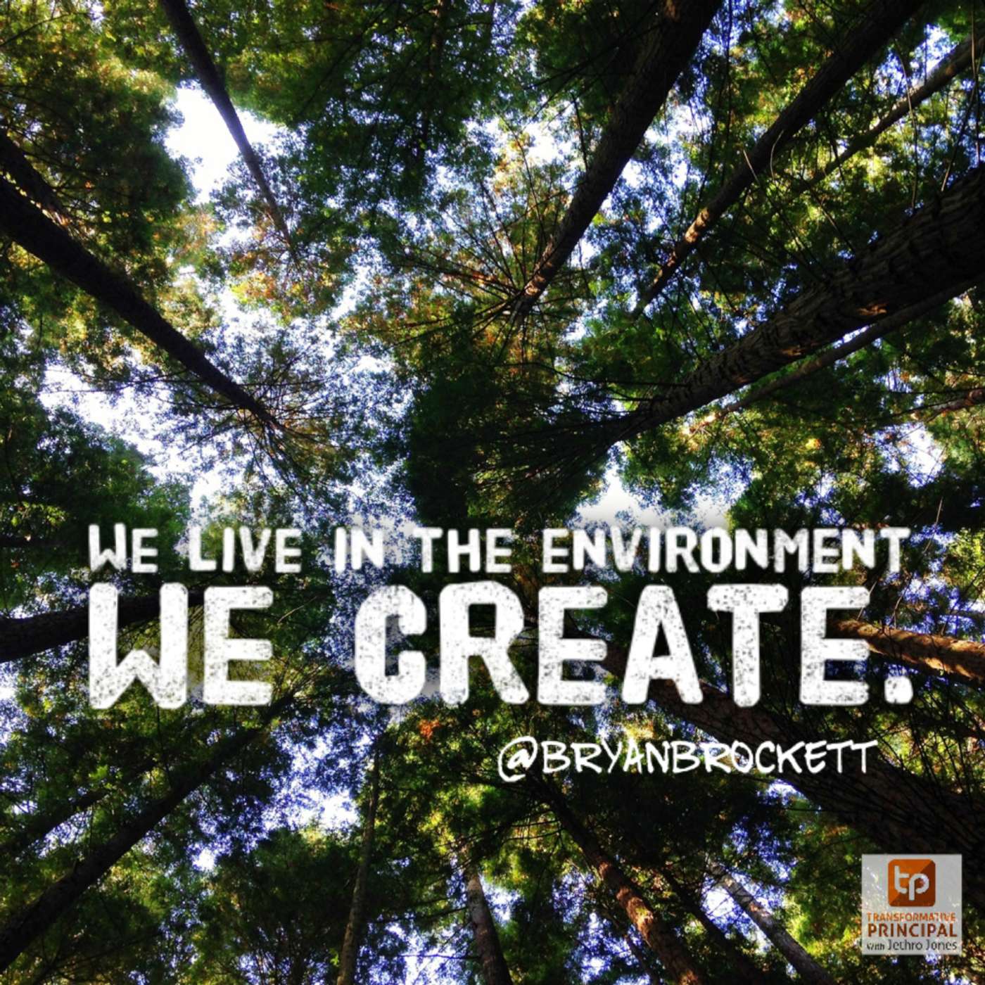 Transformative Principal