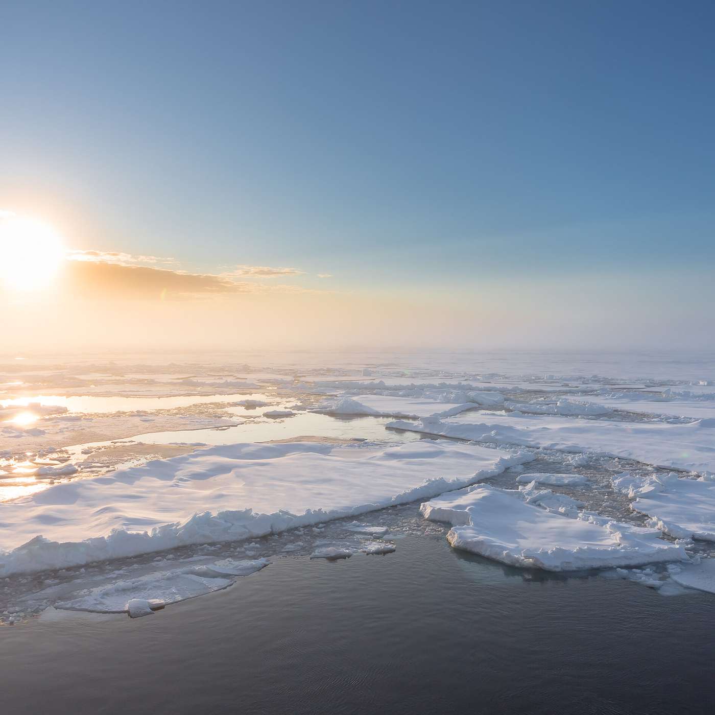 Arctic Sea Ice Loss Threatens Circulation, Brazil Germany Team Unlocks Plant Powers, Study Finds Low Oxygen Benefits Trauma Patients, Quina Scrapers Discovered in China, and more...