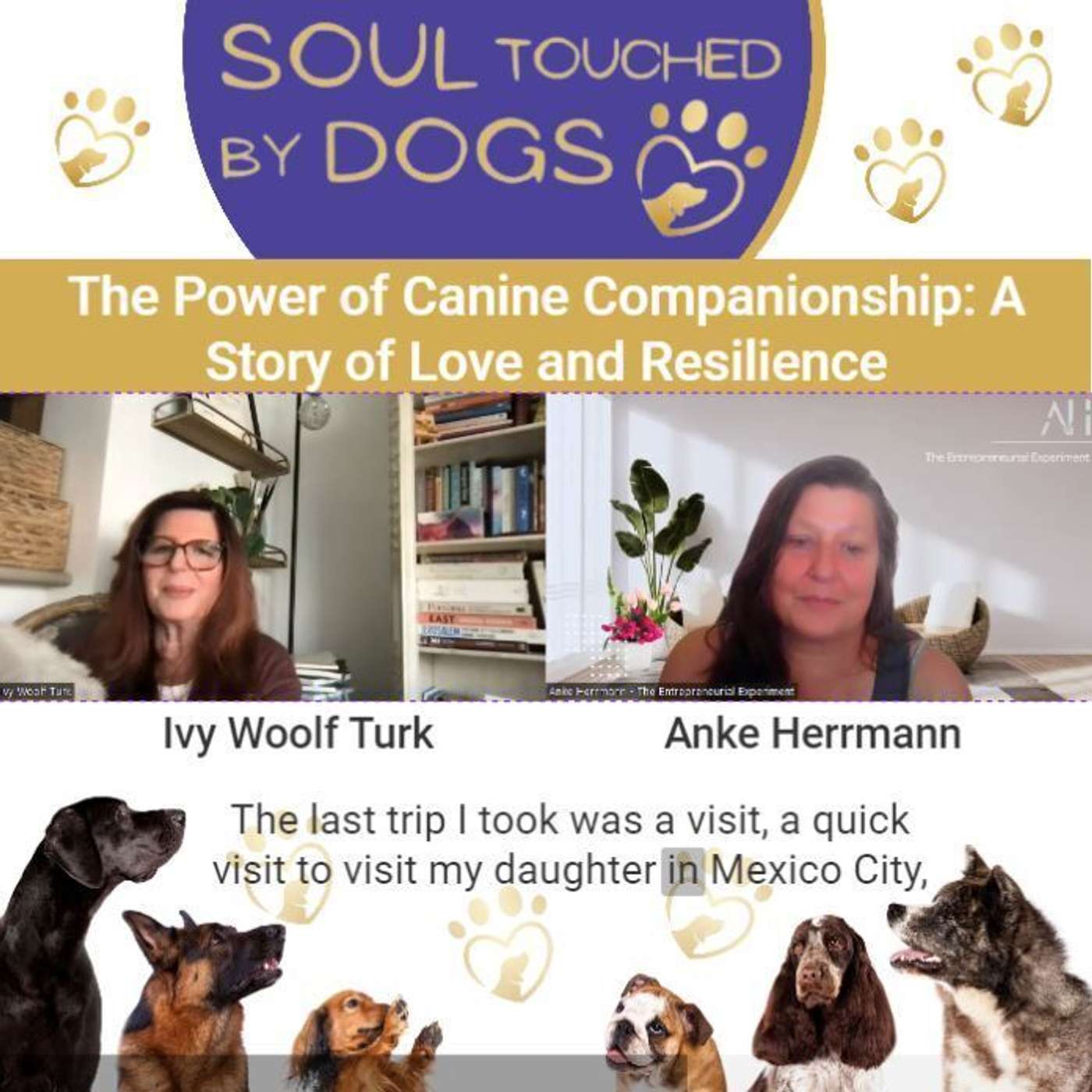 Ivy Woolf Turk - The Power of Canine Companionship: A Story of Love and Resilience