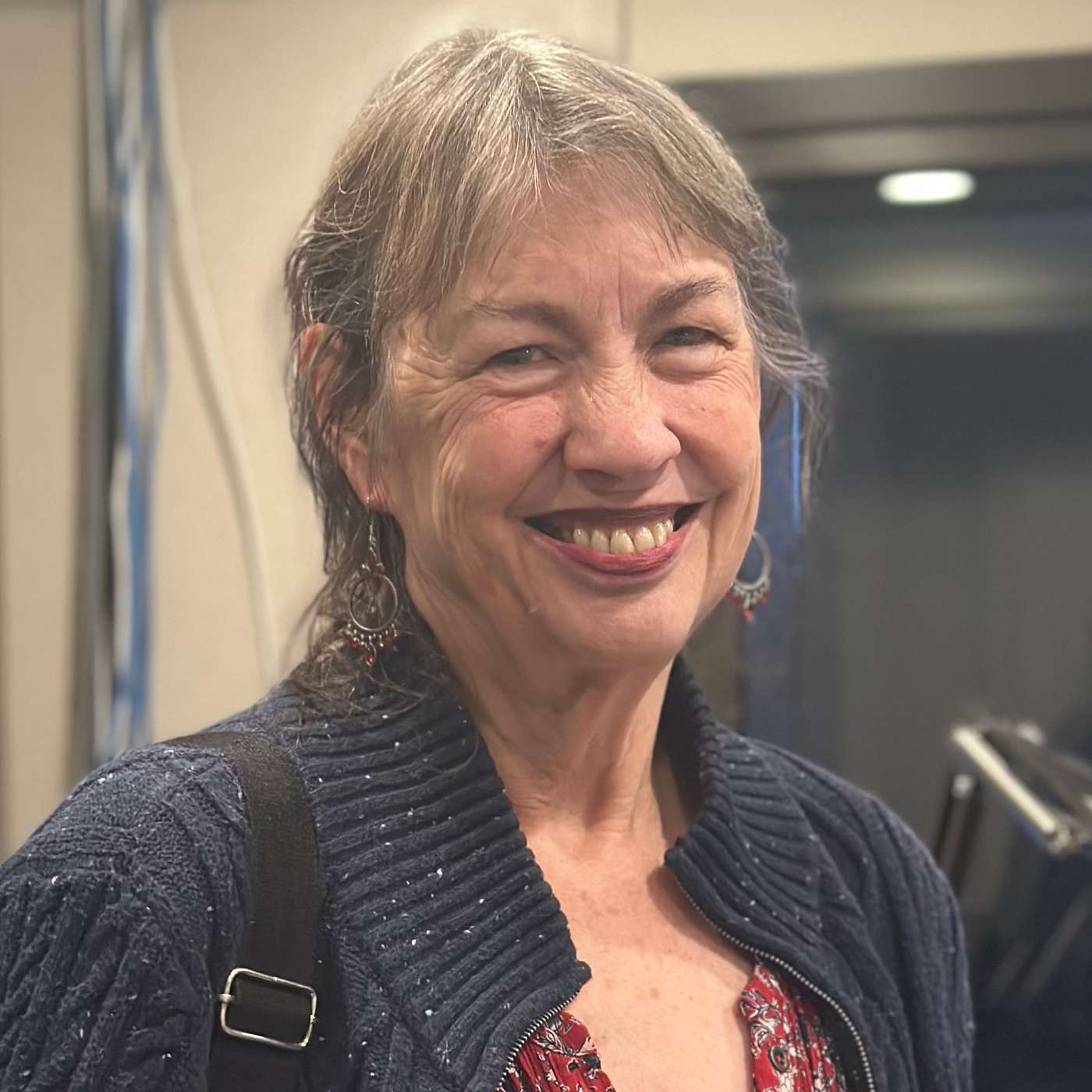 Diane Miessler - Retired RN, Musician, Author, Volunteer episode artwork