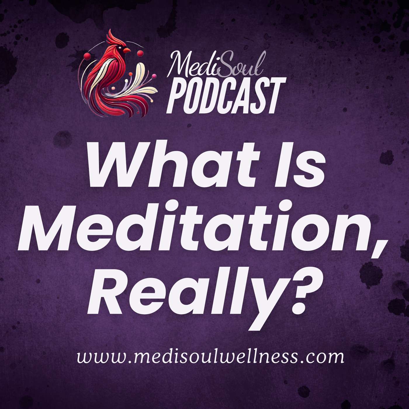 What is Meditation, Really? episode artwork