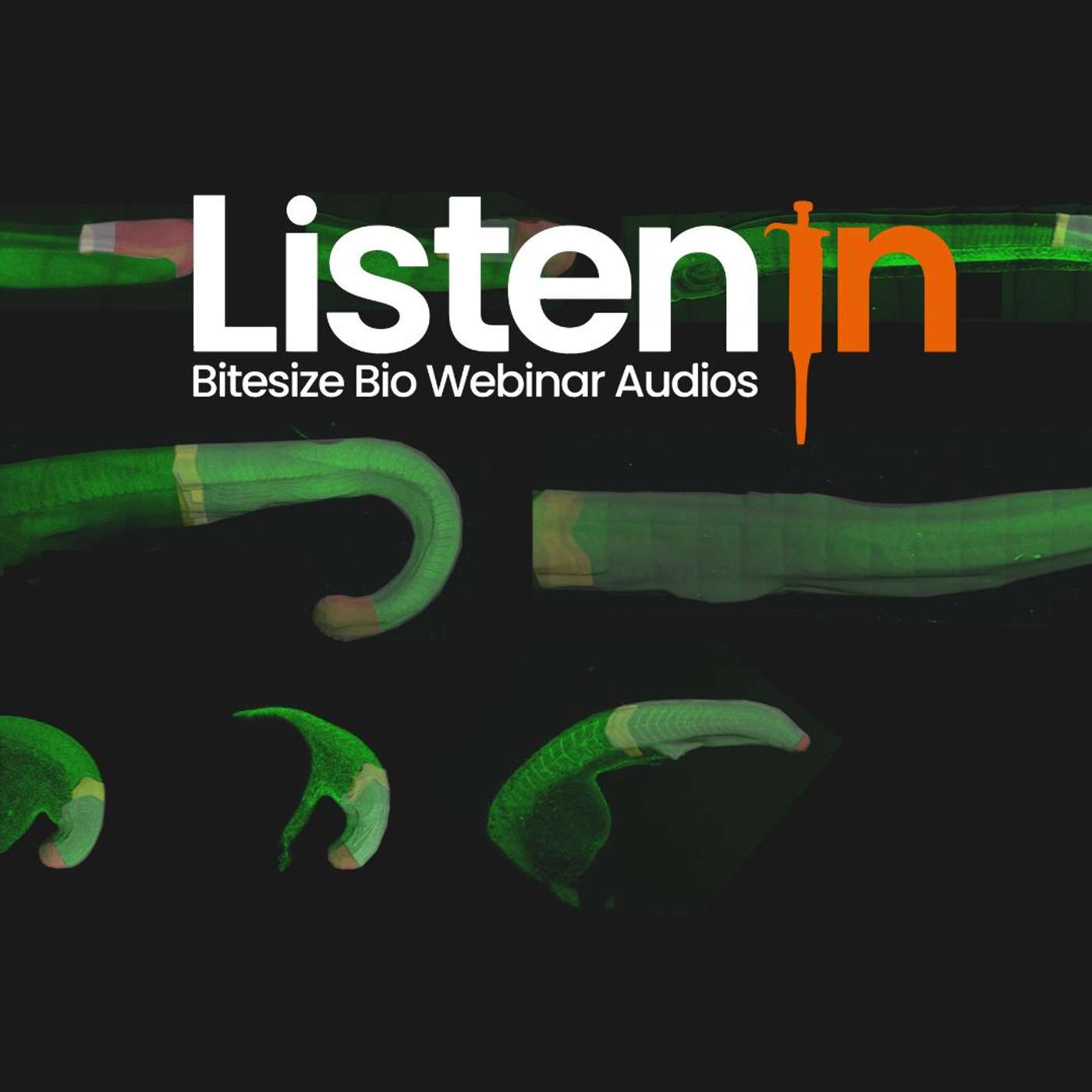 Multi-View Light Sheet Microscopy to Track Cell Lineages in Tissue Morphogenesis Multi-View Light Sheet Microscopy to Track Cell Lineages in Tissue Morphogenesis