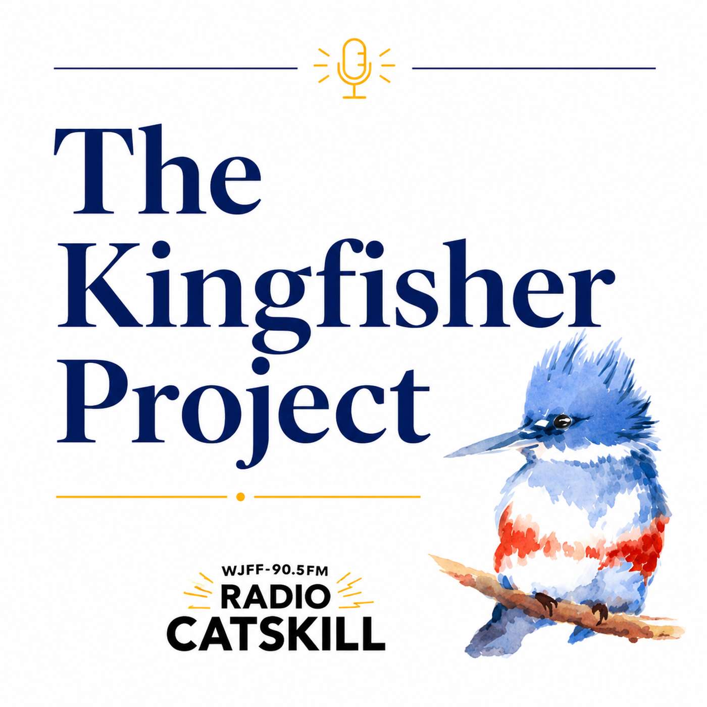 Radio Catskill - The Kingfisher Project