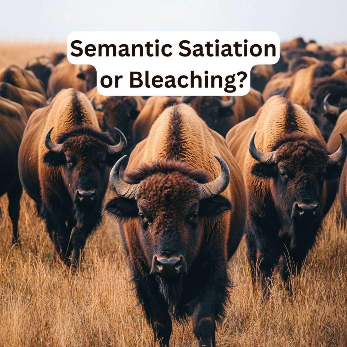 Day 295 - Semantic Satiation or Bleaching? episode artwork