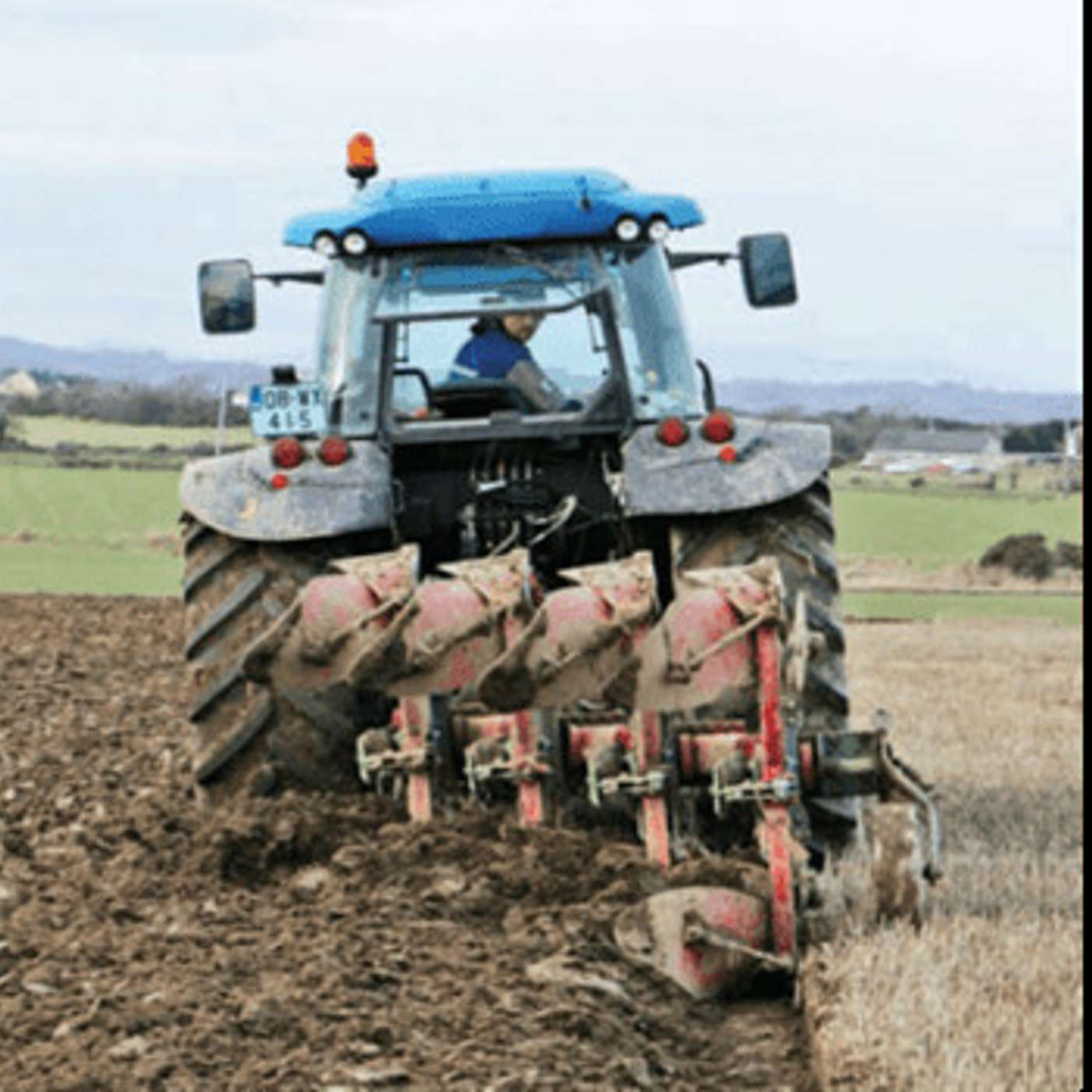 Tips and advice on best practice for reseeding