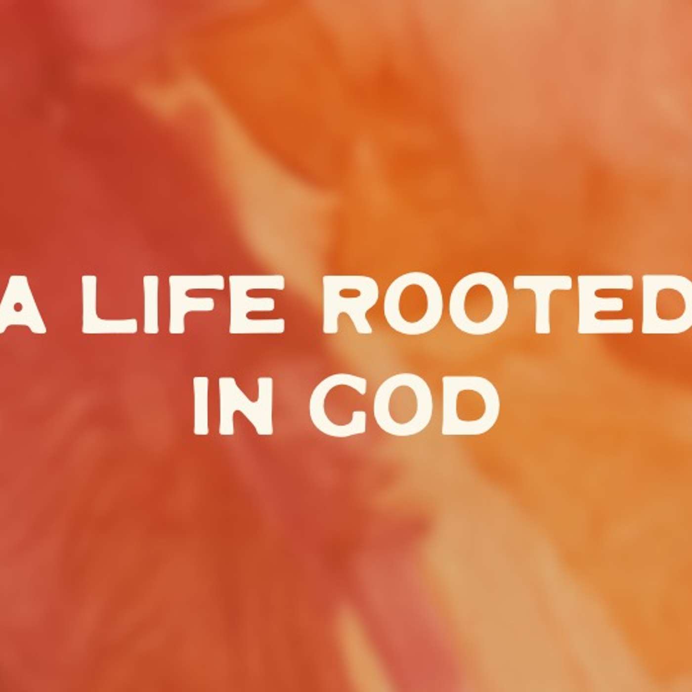 Newlife Church: Coolangatta