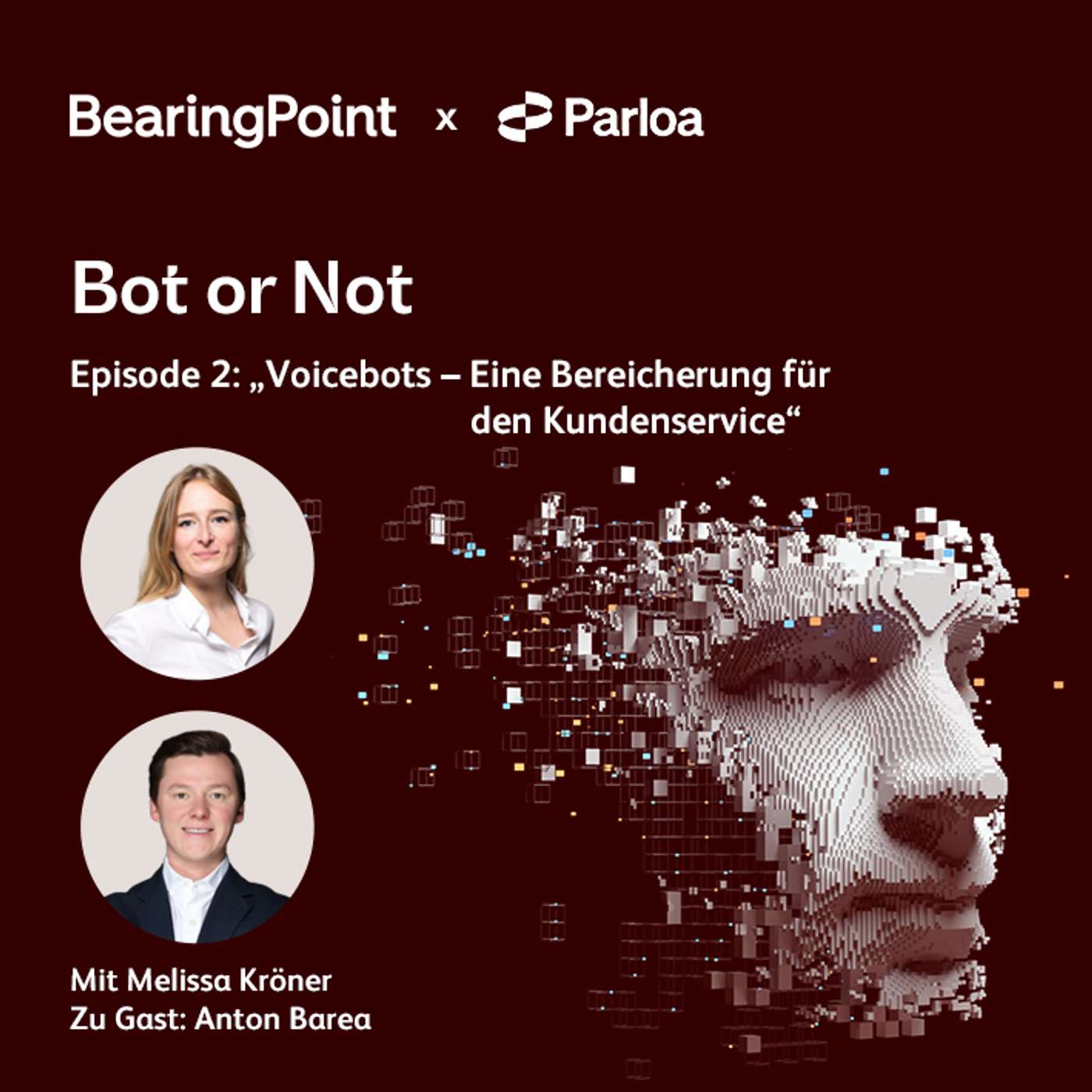 Folge 2: Voicebots – Eine Bereicherung für den Kundenservice?