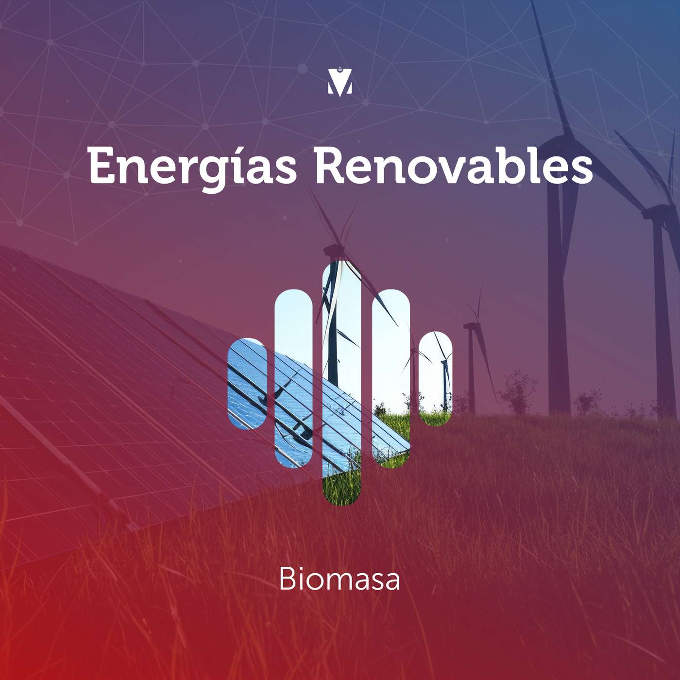 8 - ENERGIAS RENOVABLES: Biomasa episode artwork
