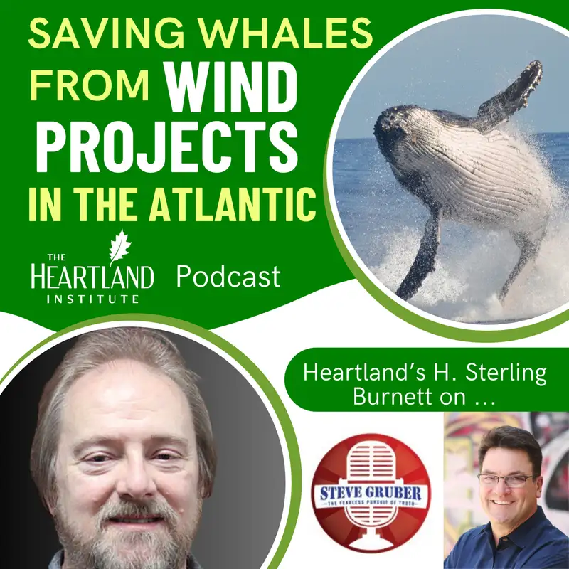 Saving Whales from Wind Projects in the Atlantic