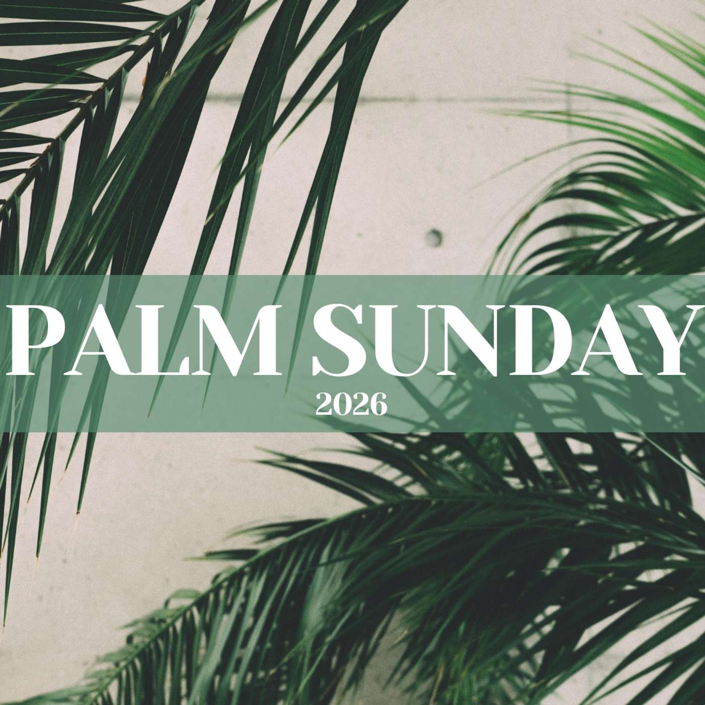 Palm Sunday | March 29, 2026 episode artwork