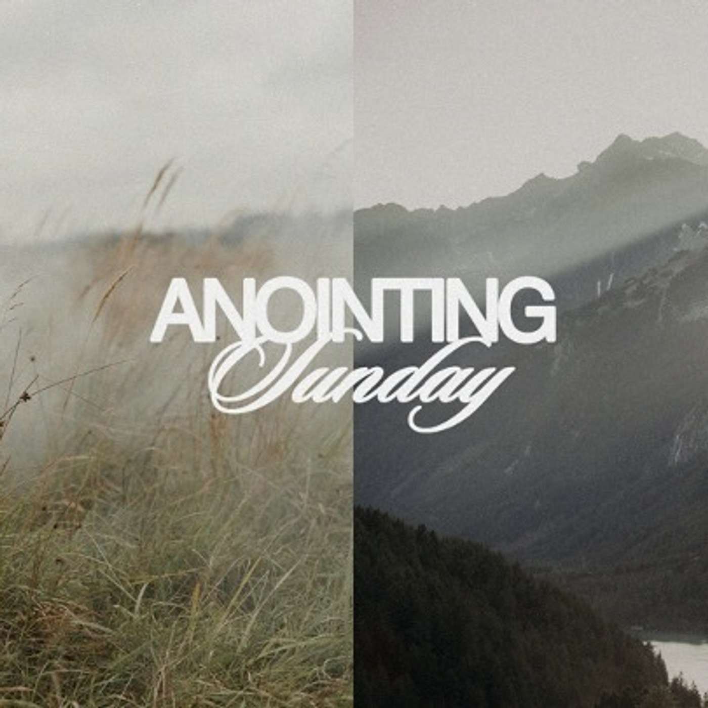 Newlife Church: Coolangatta