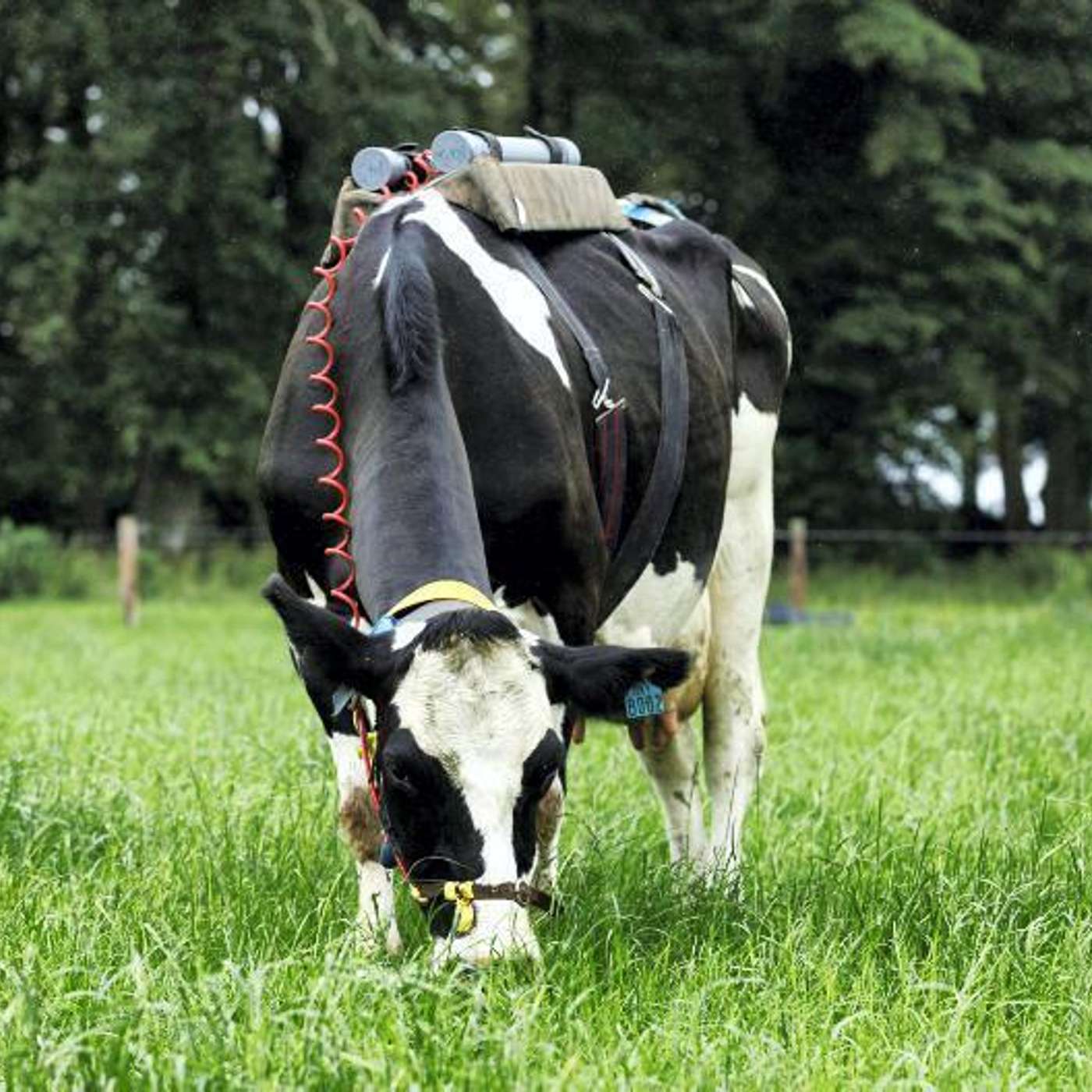 Improved farm practices that are reducing emissions at farm level