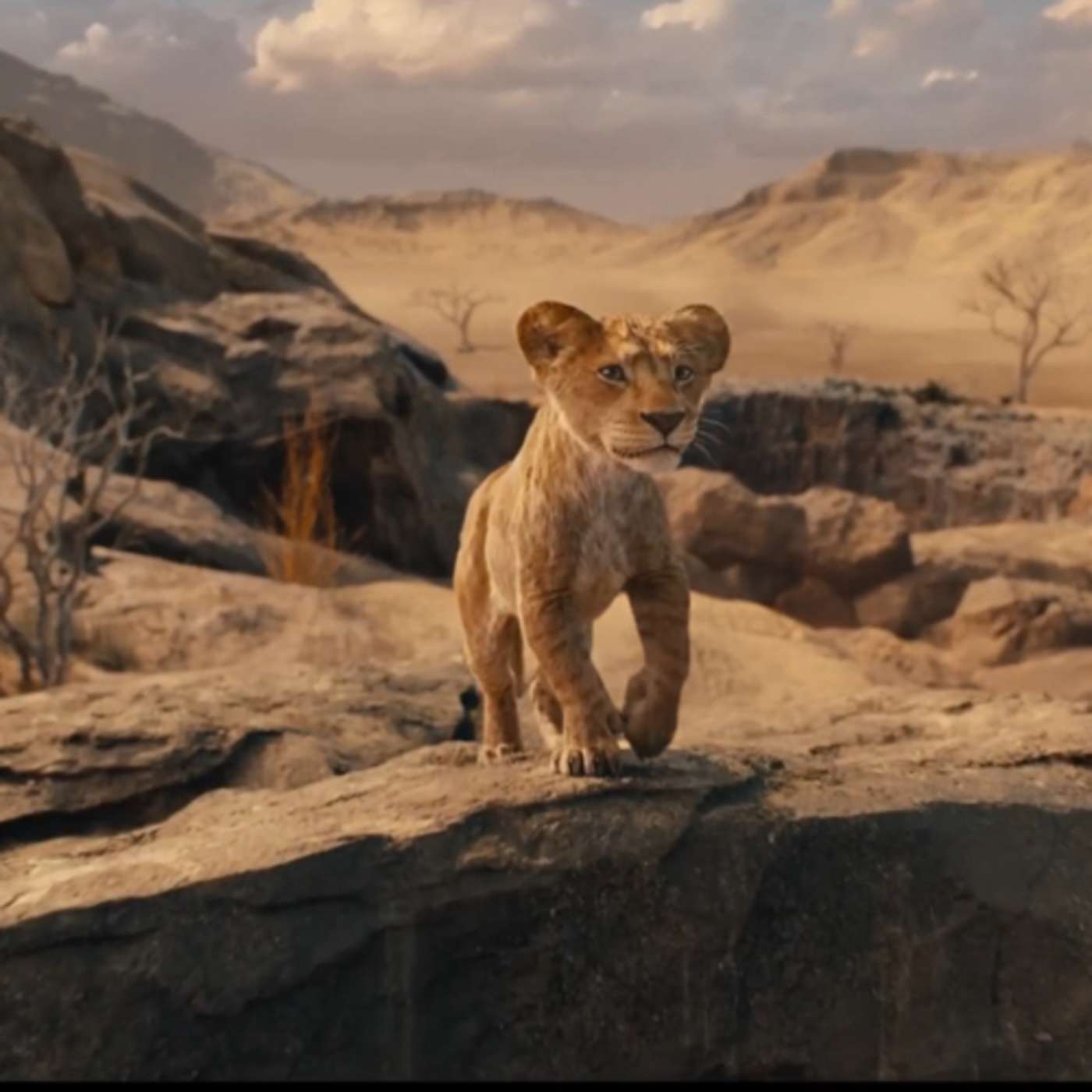 Greenground.it | Daily News and Reviews | Season One