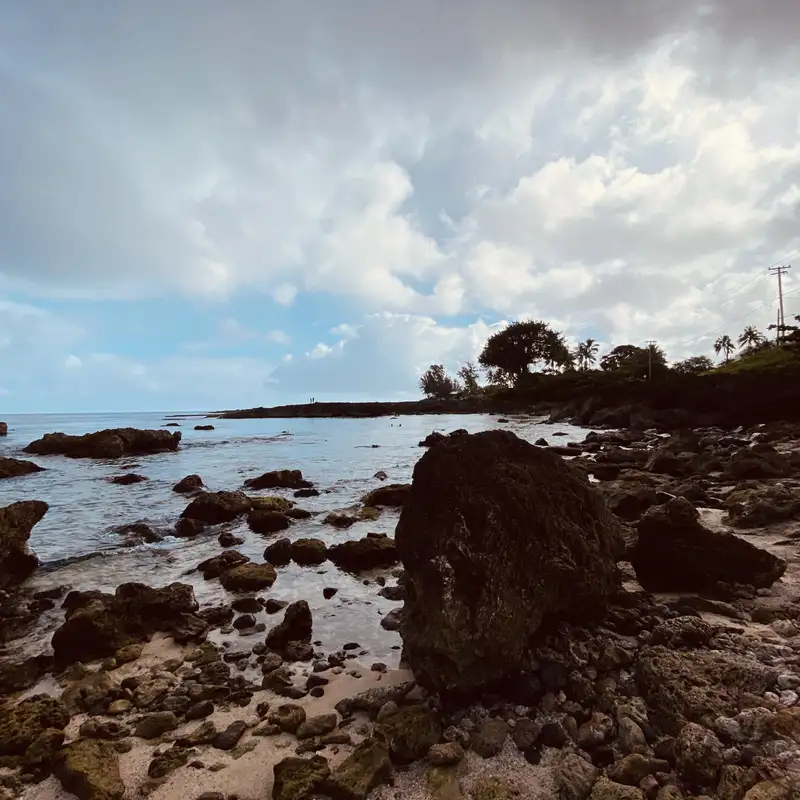 Censorship Sparks Rebellion: Celebrating Psychedelic Defiance in a Controlled World 2025