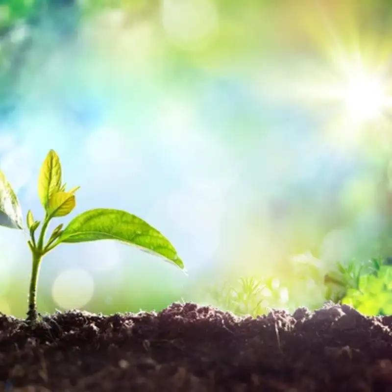 day 267 - that glass is half empty