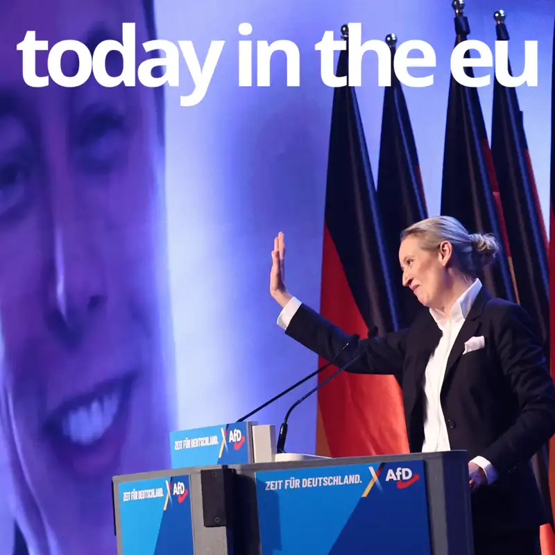 How Alice Weidel redefined Germany’s far right