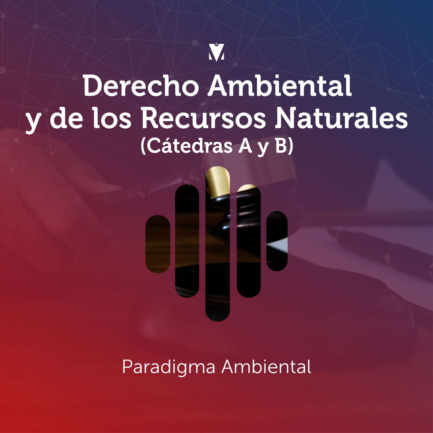 3 - DERECHO AMBIENTAL Y DE LOS RECURSOS NATURALES (CÁTEDRAS A Y B): Paradigma Ambiental episode artwork