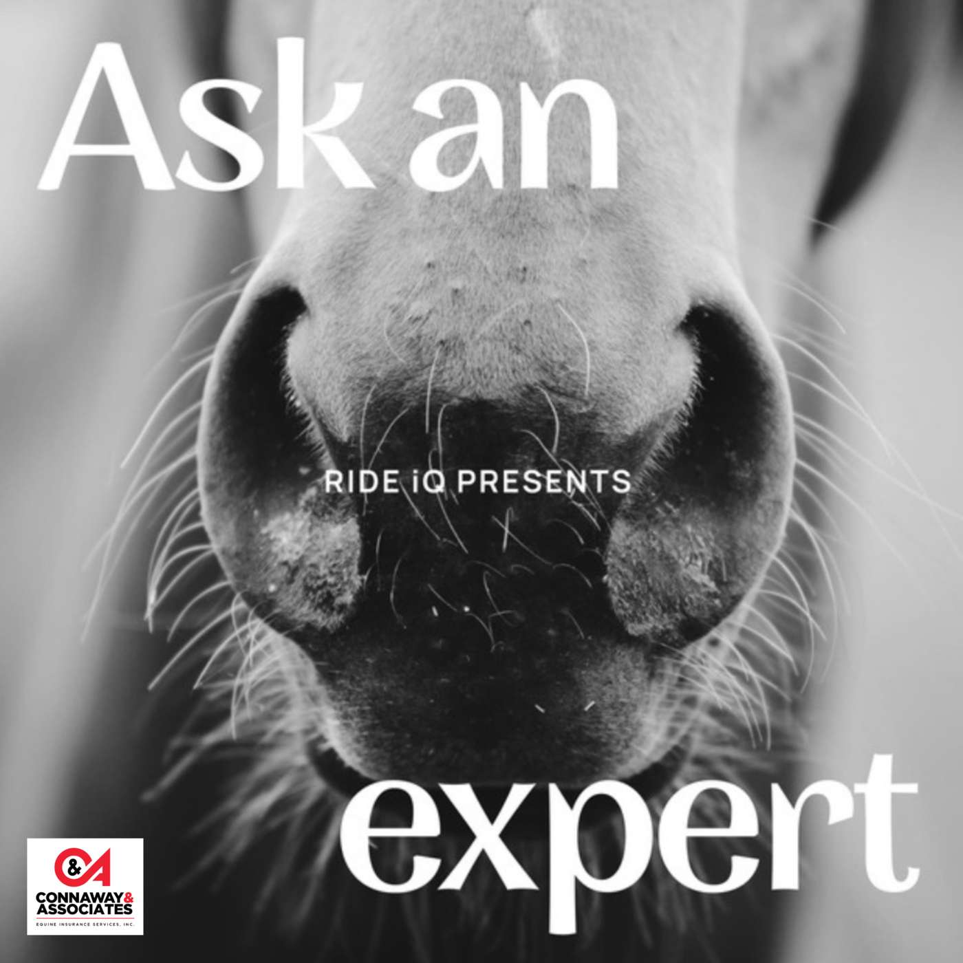 EPM Explained: Causes, Symptoms, Treatment, and Prevention