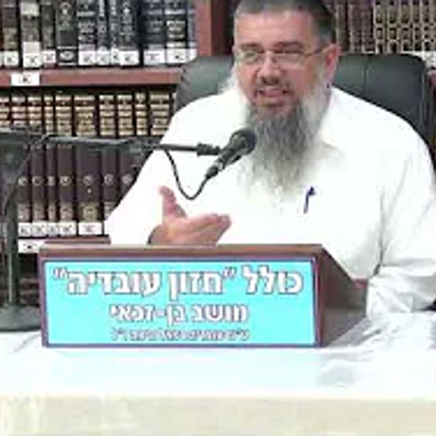 הרב אברהם עובדיה : מה שימח את דוד המלך .