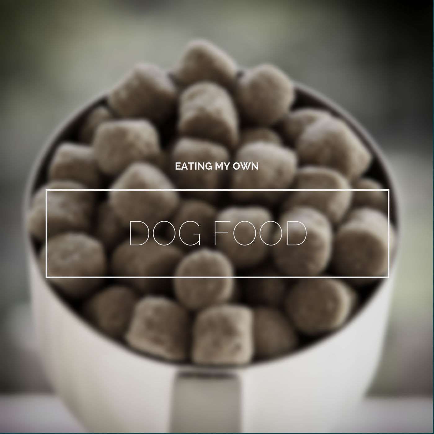 EP19: Eating my own dog food episode artwork