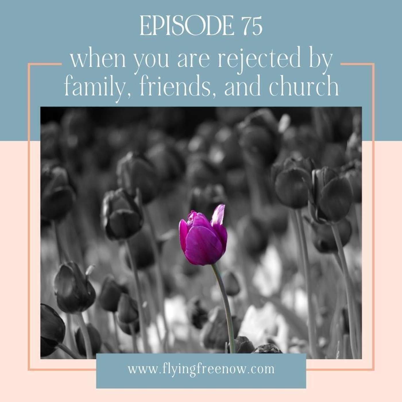 When You Are Rejected by Family, Friends, and Church [75]