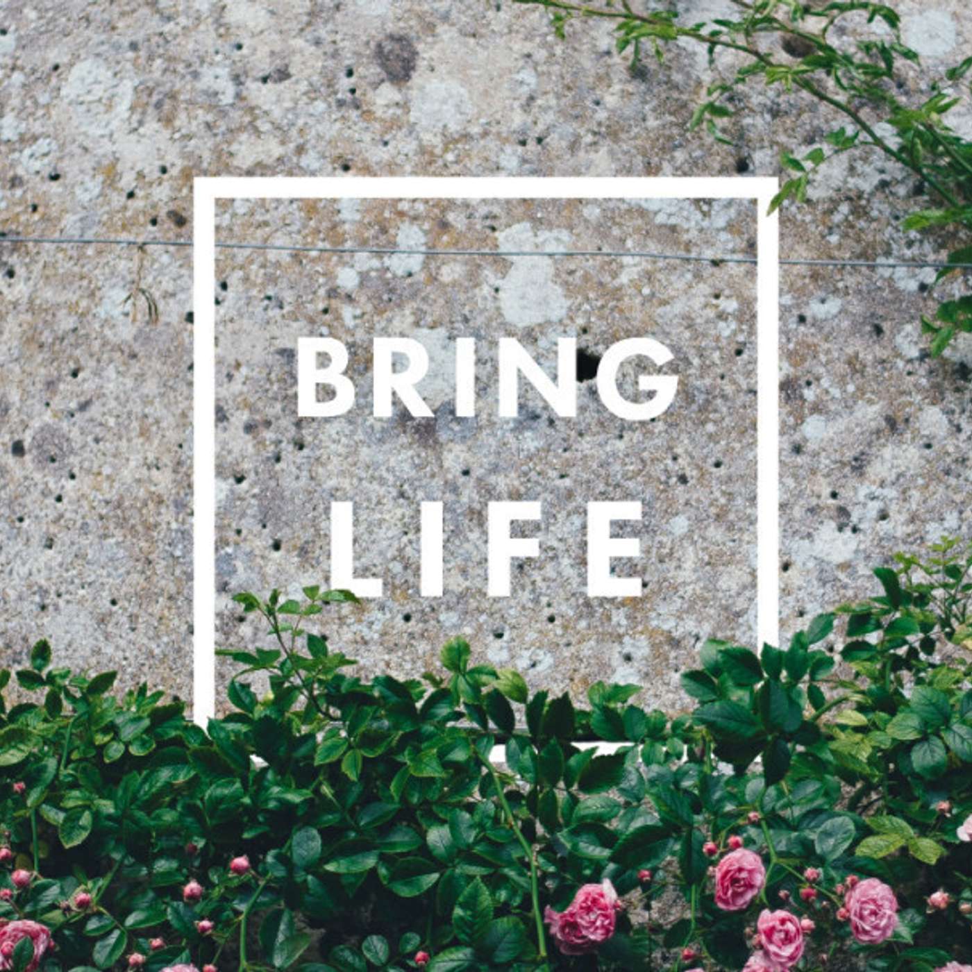 Bring Life to the City Through House Churches