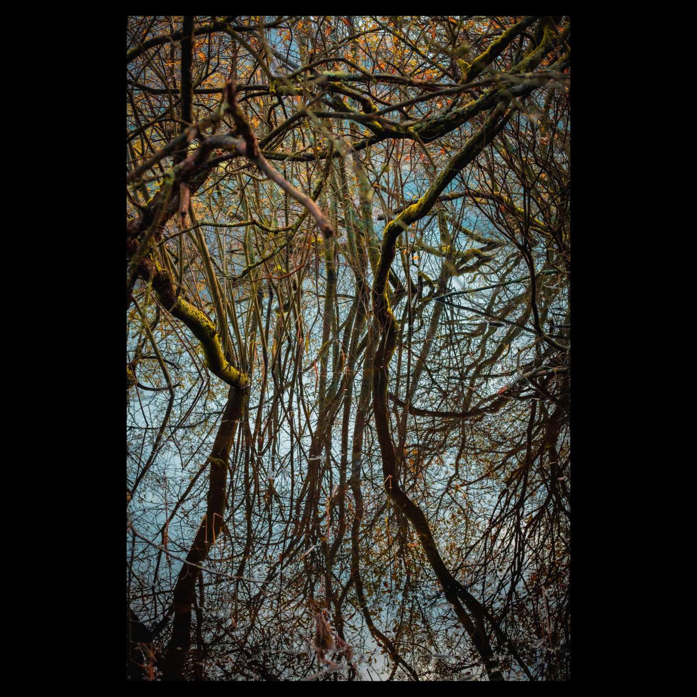 The Ten Thousand Things