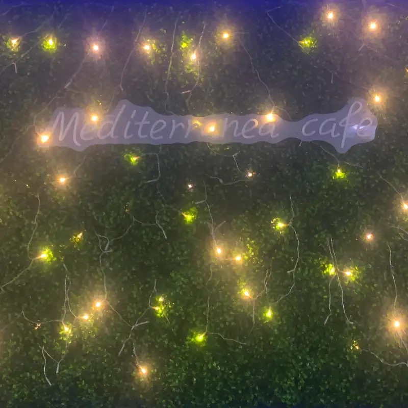 Tuesday @ The Mediterranea Cafe