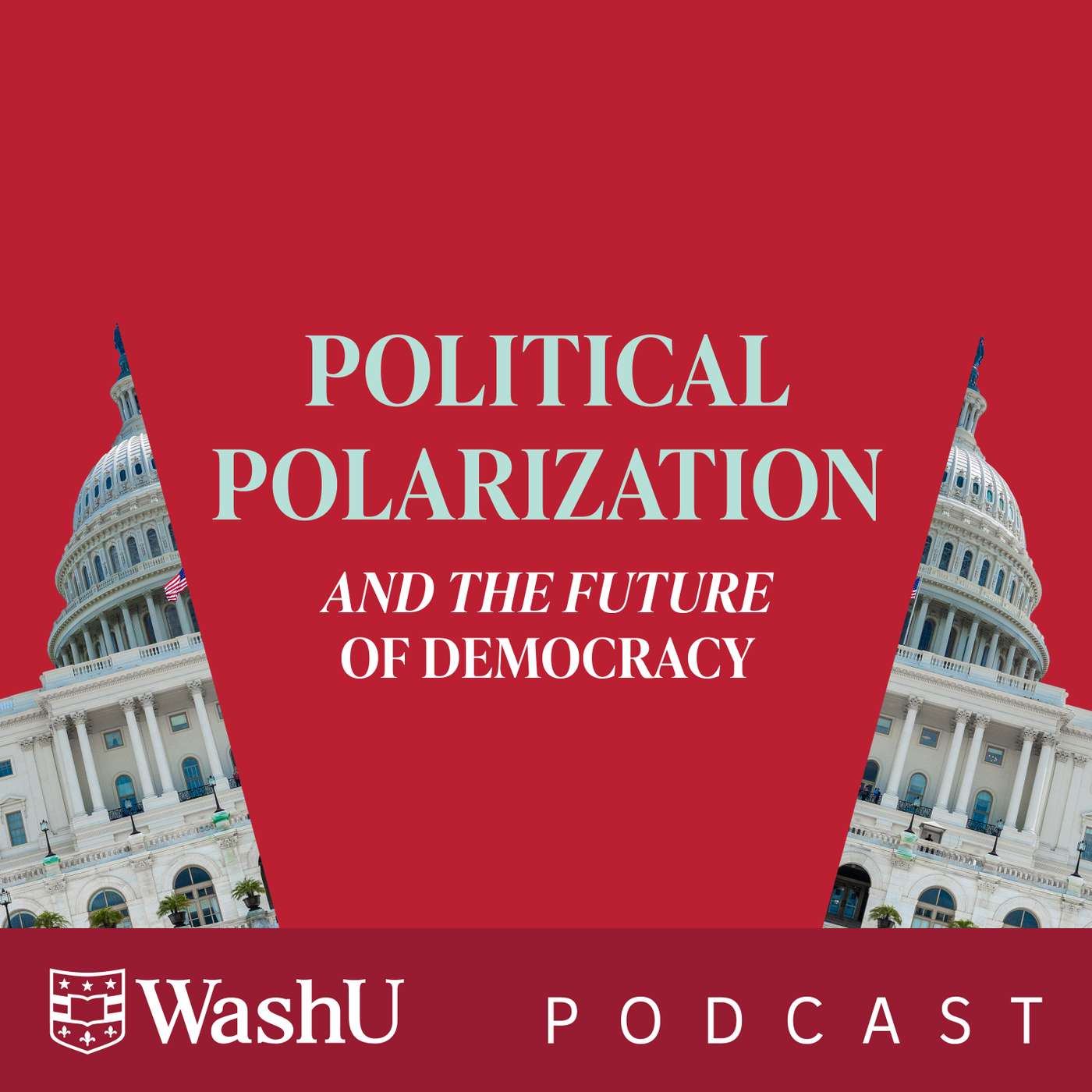 E6: Political Polarization and the Future of Democracy episode artwork