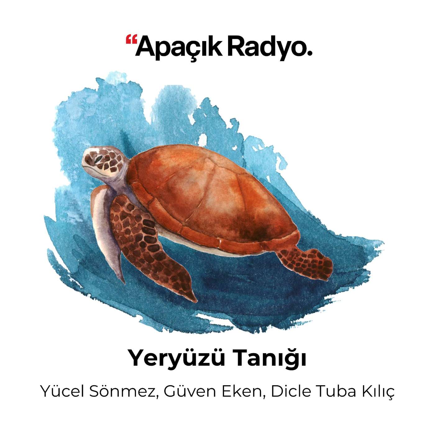 Yeryüzü Tanığı