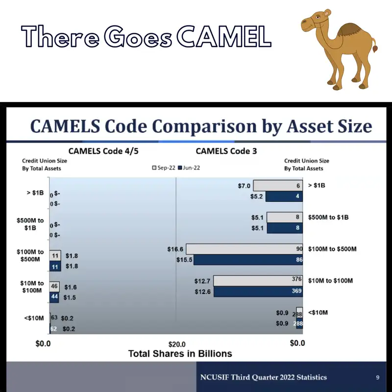 There Go the CAMEL Codes (Sort Of)