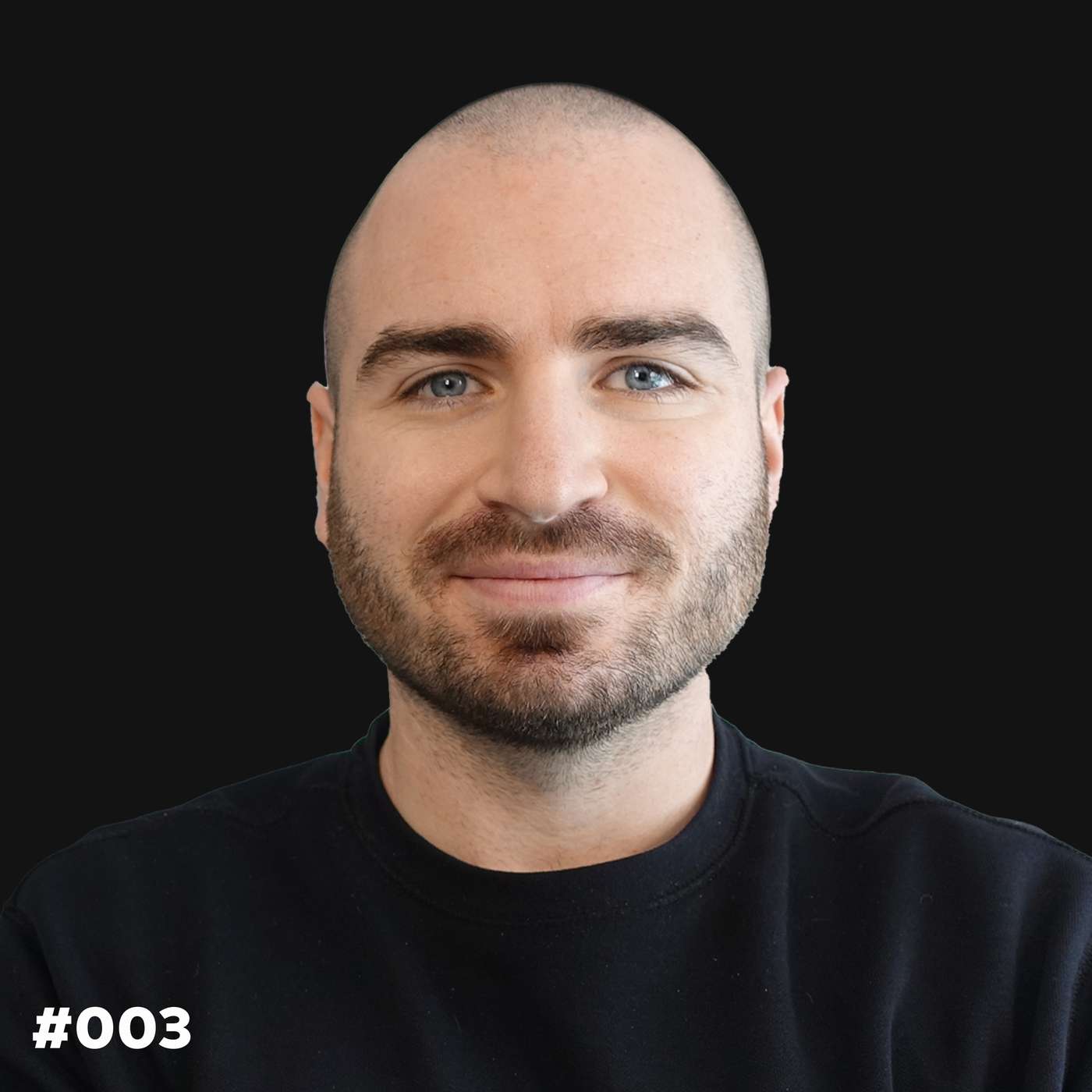 Die Dominik Liss Show (WordPress & Business Talks)