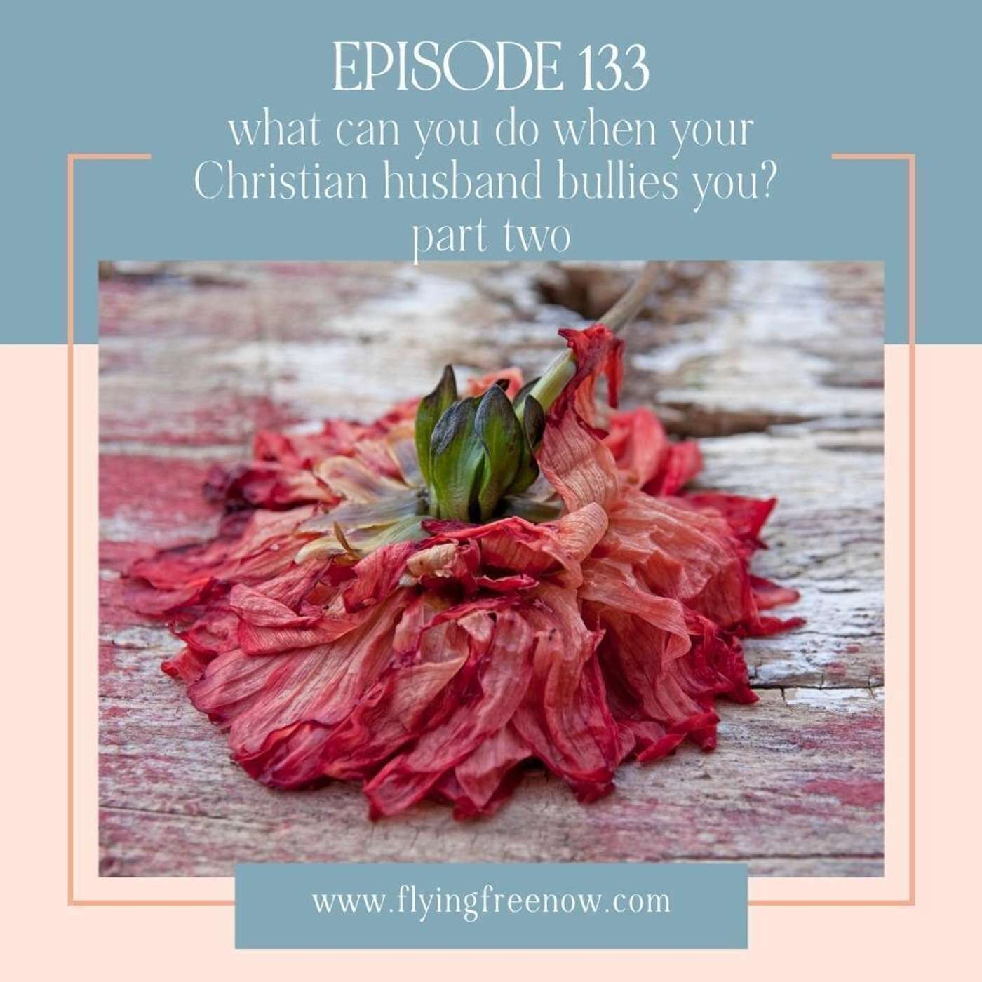 What You Can Do When Your Christian Husband Bullies You Part One [133]