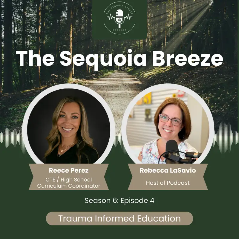 Understanding the Impact of Trauma