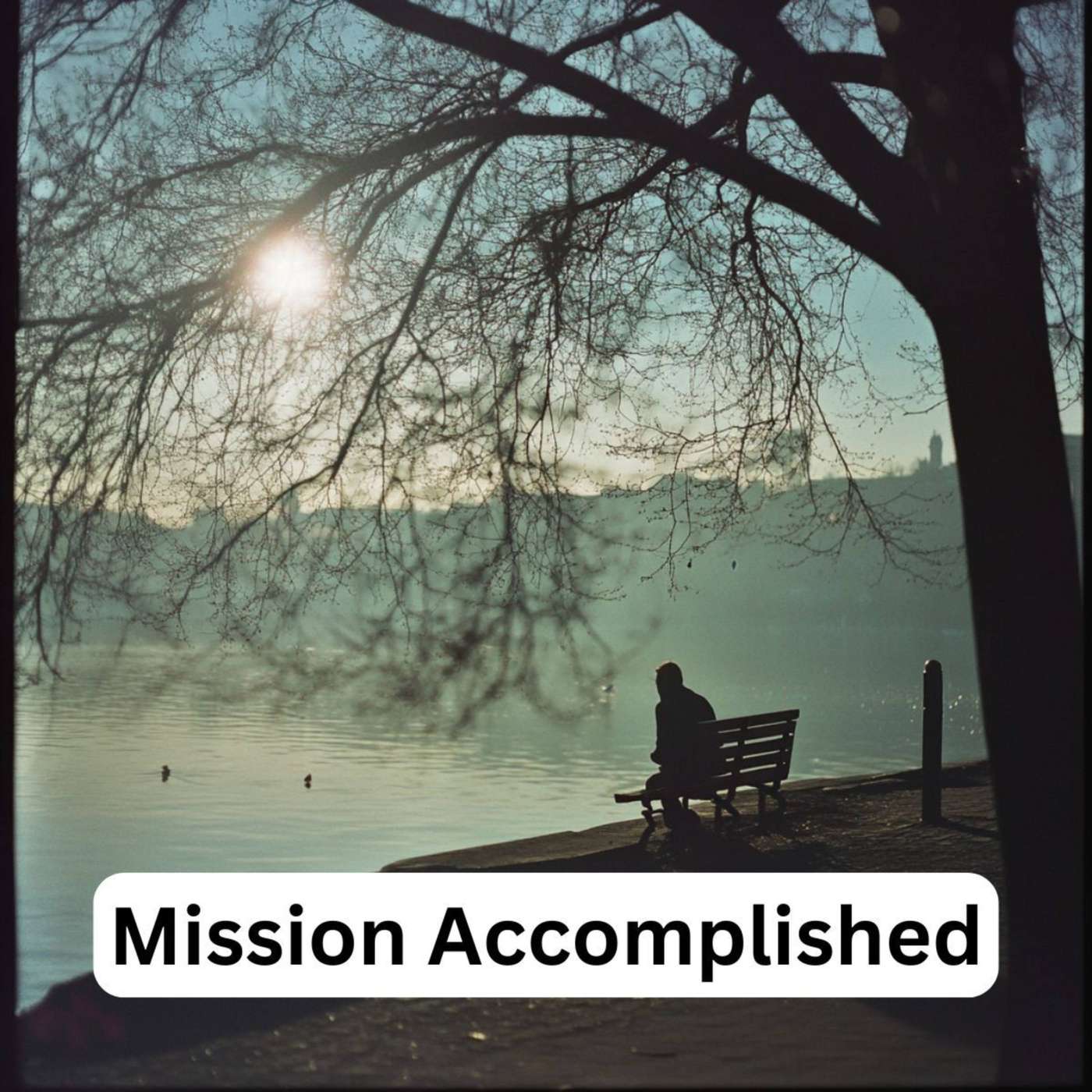 Day 365 - Mission Accomplished episode artwork