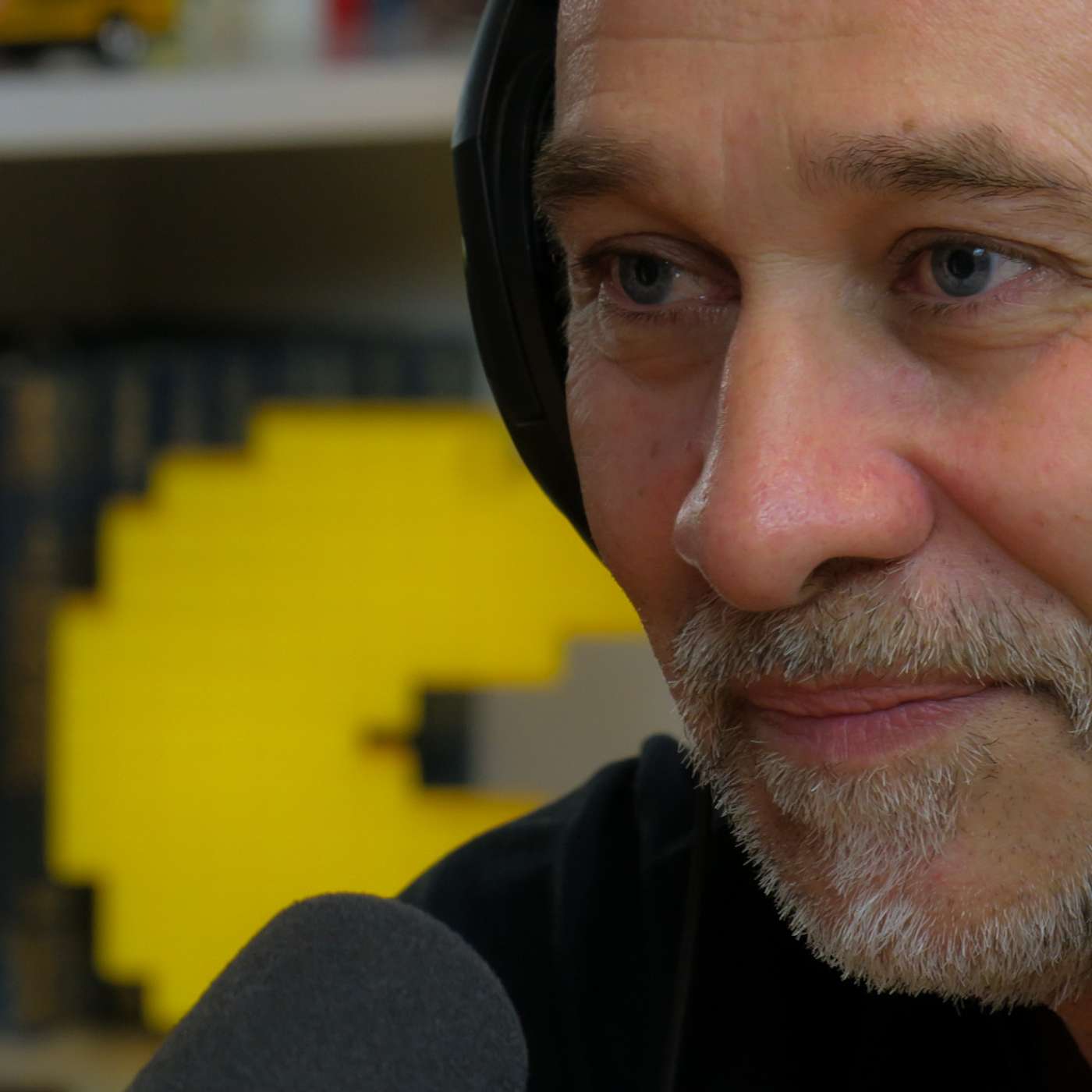 Goblini: Tri decenije panka | Branko Golubović Golub | Agelast 229