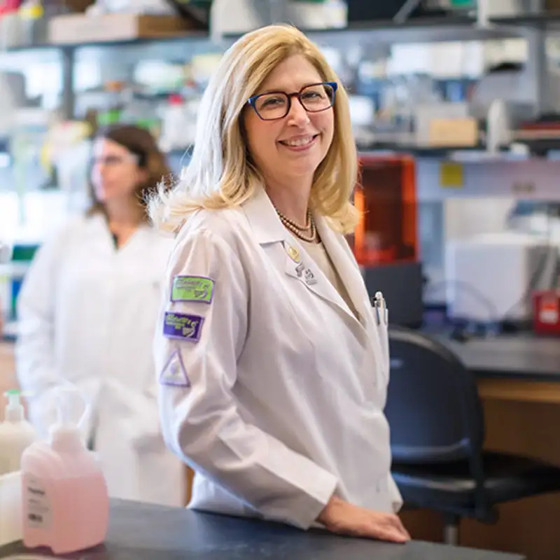 Leading researcher, advocate for women in science named MSU provost, Northwestern University dean named MSU provost