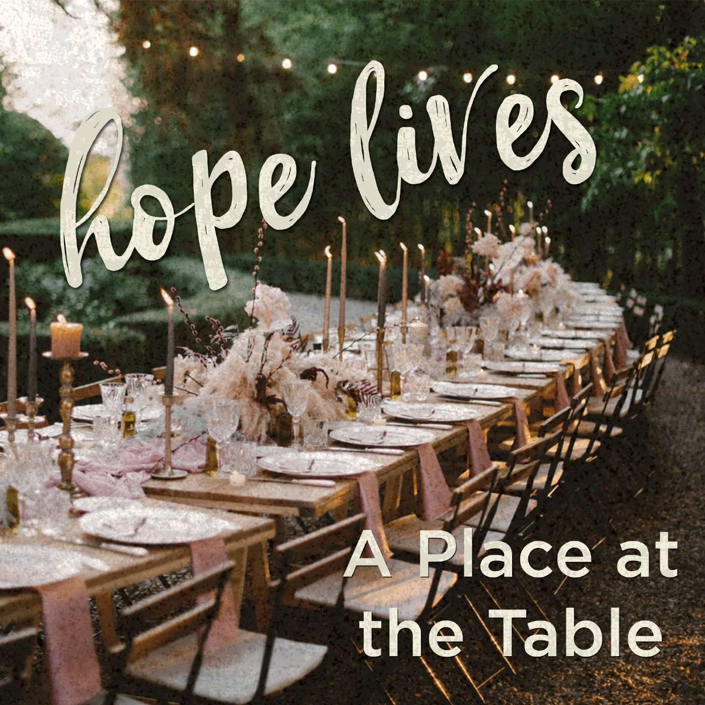 Hope Lives: A Place at the Table episode artwork