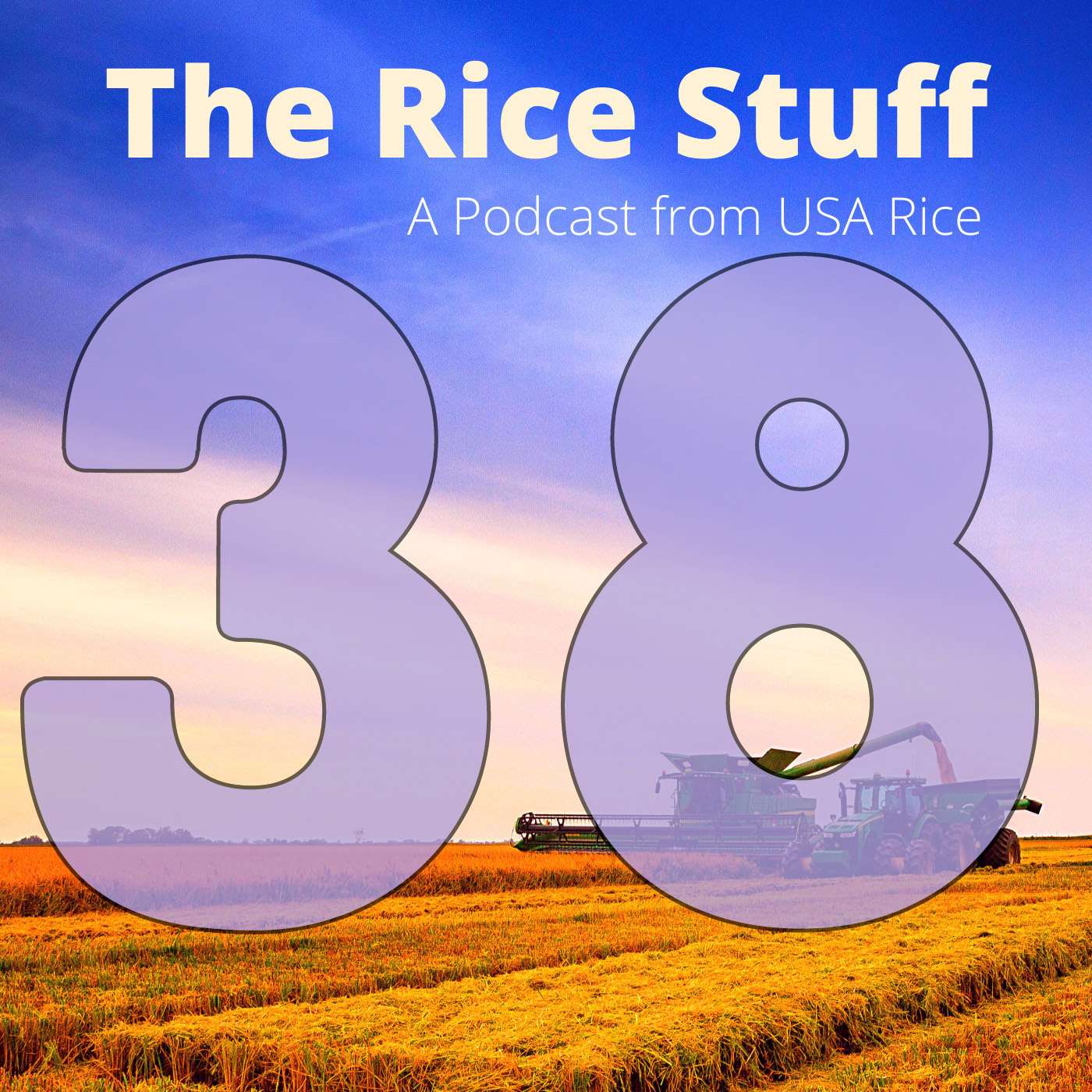 The Rice Stuff