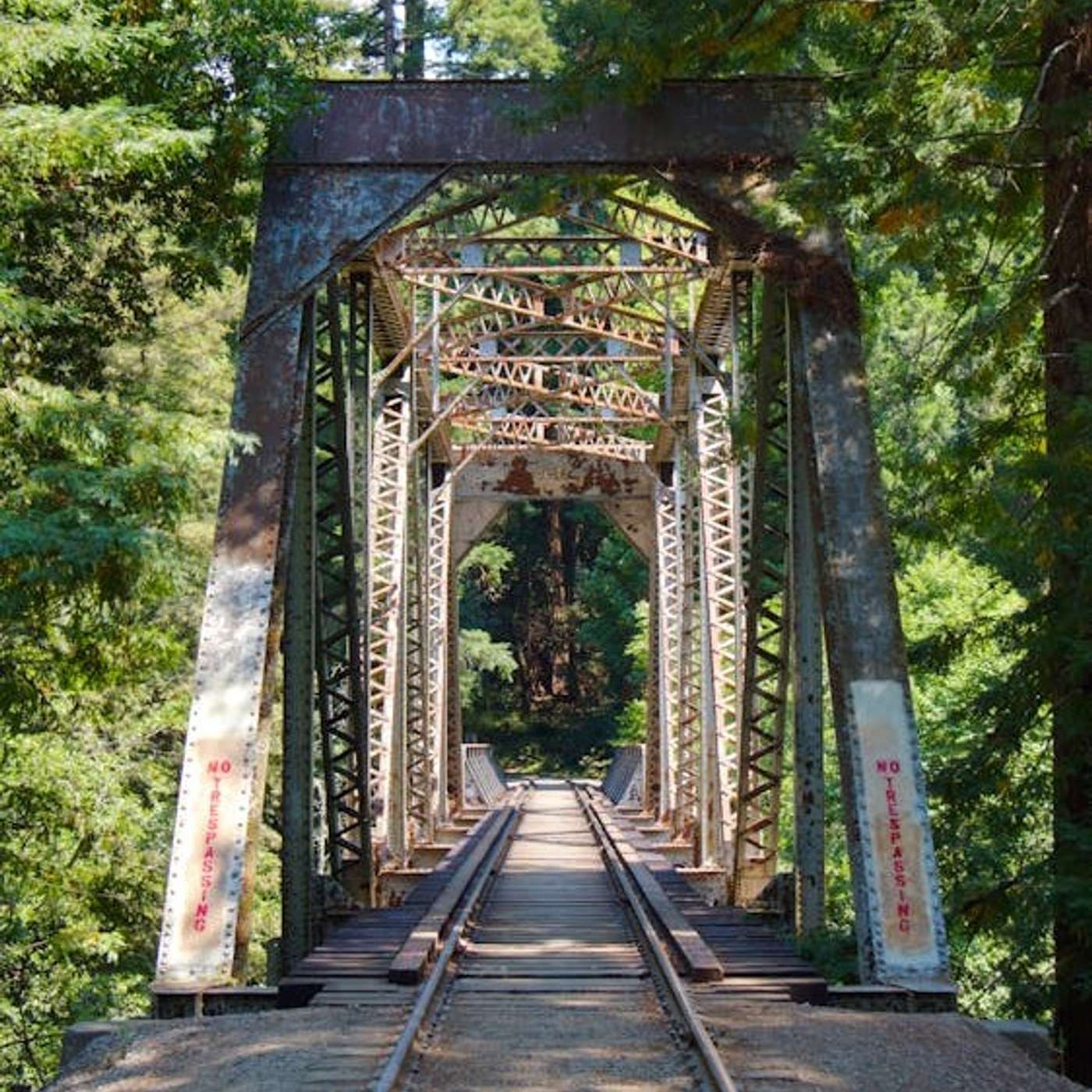 Episode 15: Tribal Opposition to the Great Redwood Trail episode artwork