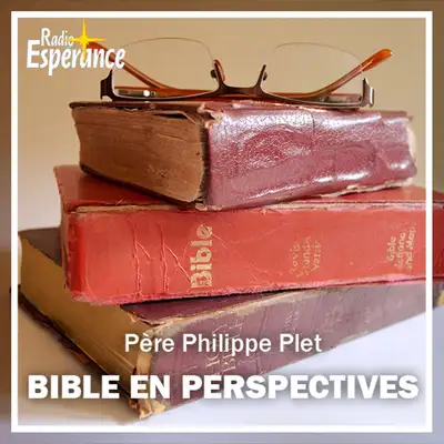 Bible en perspectives
