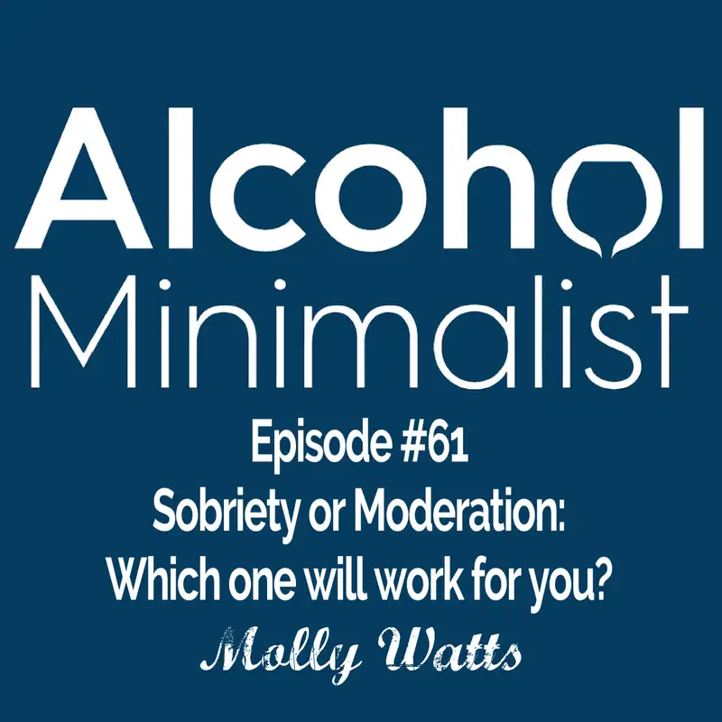 Sobriety or Moderation: Which One Will Work for You?